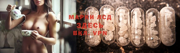 сатива Медногорск
