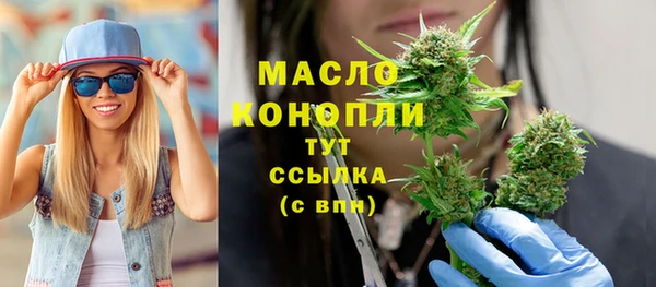 сатива Медногорск