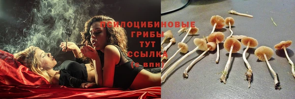 mix Медвежьегорск