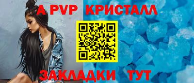 спиды Гай