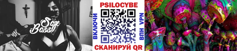 Псилоцибиновые грибы Psilocybe  Волгодонск 