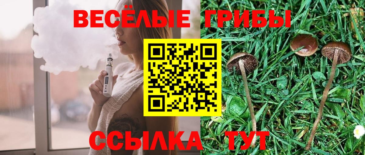 Галлюциногенные грибы прущие грибы Волгодонск