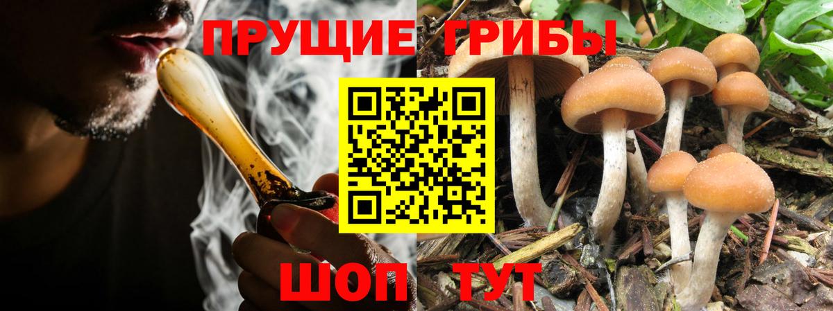 Галлюциногенные грибы GOLDEN TEACHER  Вход с VPN  Волгодонск 